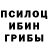 Псилоцибиновые грибы мицелий @xoolinlusha